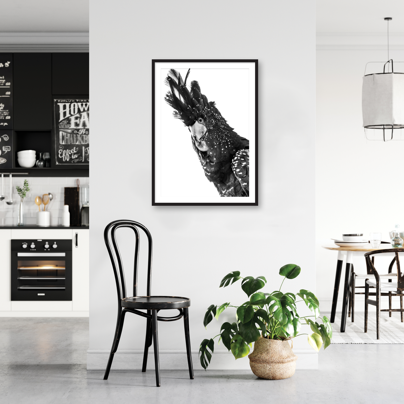 BLACK COCKATOO — KHALISEE I