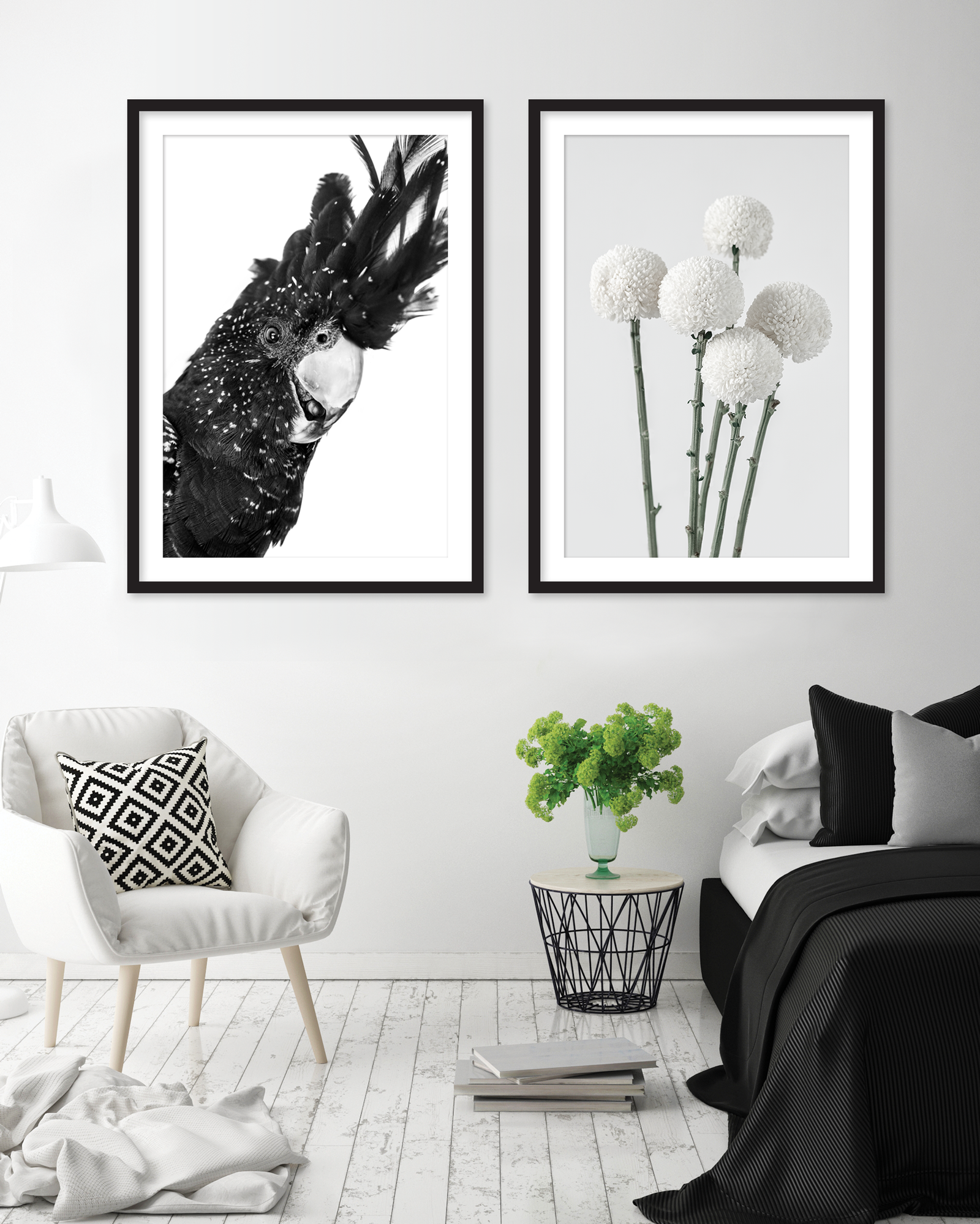 BLACK COCKATOO — KHALISEE II