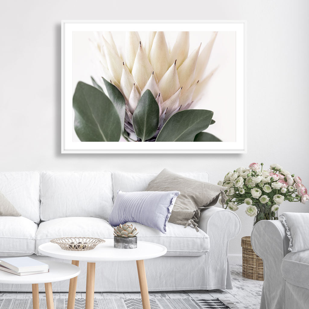 MILK & HONEY KING PROTEA