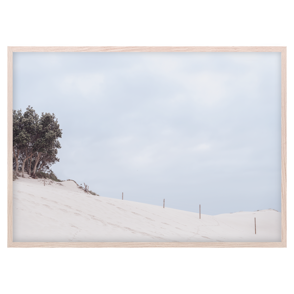 ONE MILE BEACH SAND DUNE I WildHaus