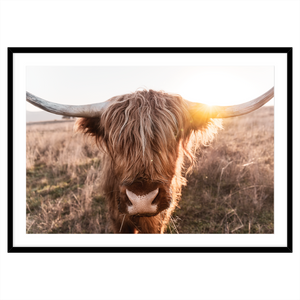 HIGHLAND SUNRISE II