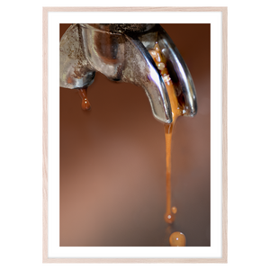COFFEE I