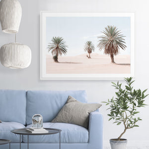 DESERT PALM IV