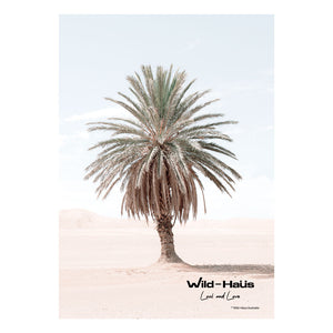 DESERT PALM I