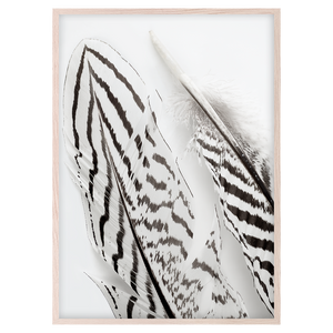 BOHO FEATHERS I