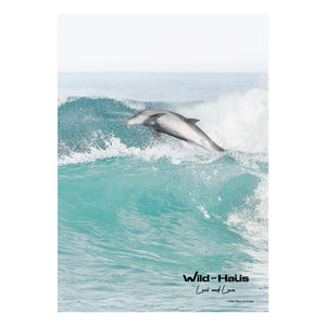 SURFING DOLPHIN