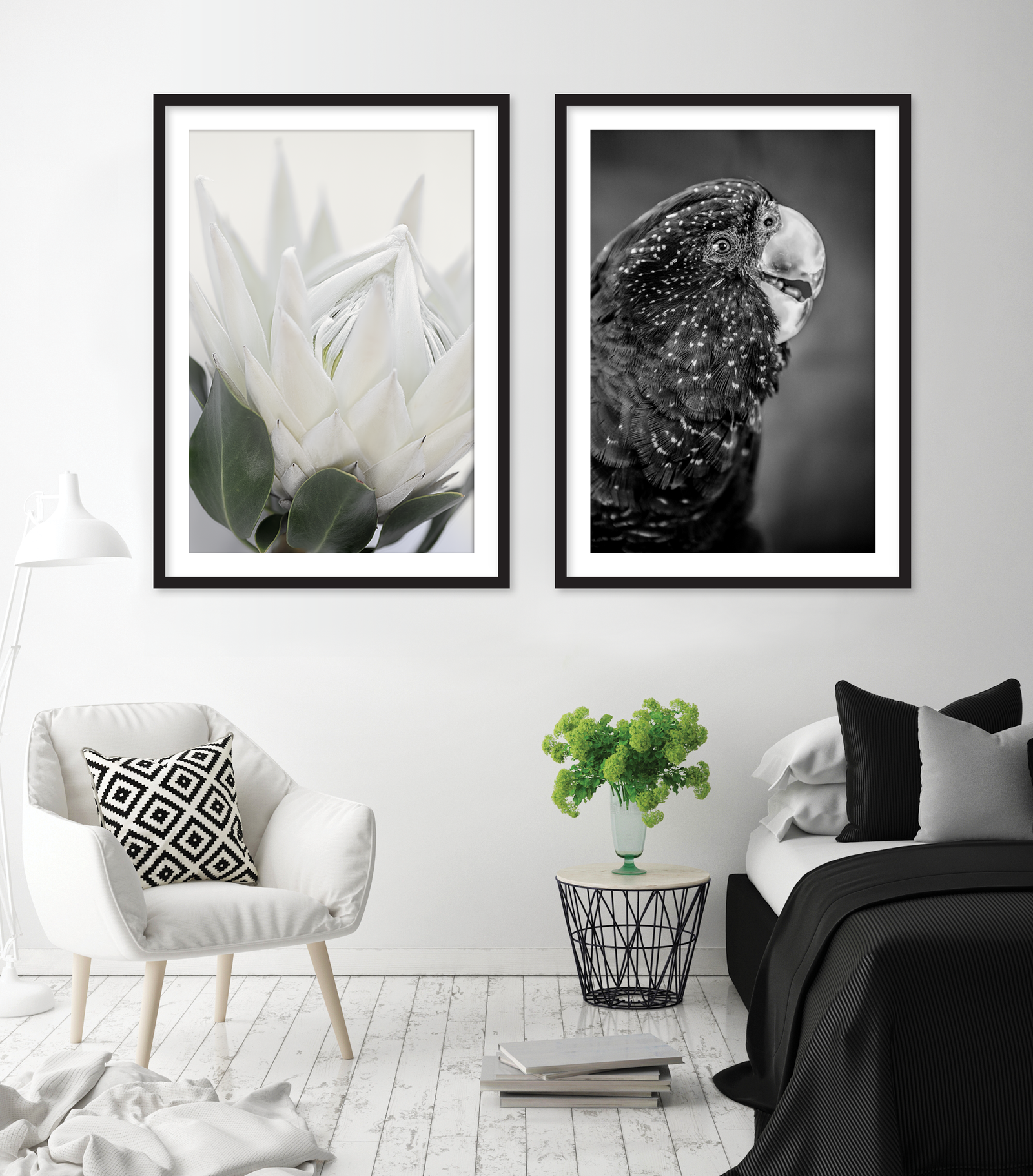 BLACK COCKATOO — KHALISEE III