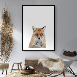 RED FOX I